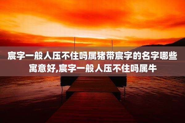 宸字一般人压不住吗属猪带宸字的名字哪些寓意好,宸字一般人压不住吗属牛