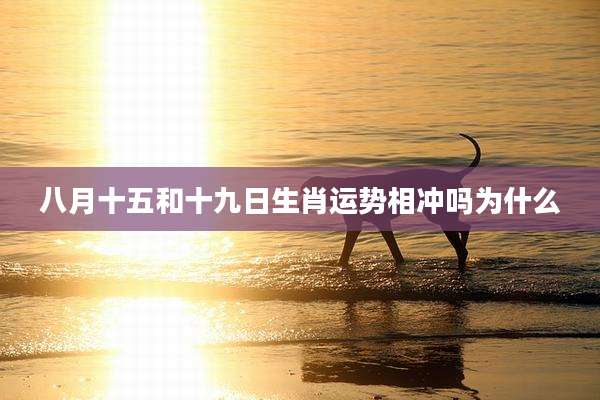 八月十五和十九日生肖运势相冲吗为什么