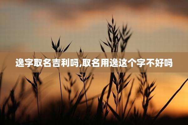 逸字取名吉利吗,取名用逸这个字不好吗