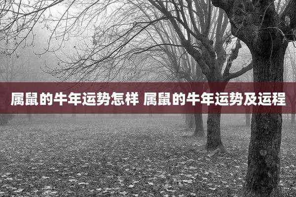 属鼠的牛年运势怎样 属鼠的牛年运势及运程