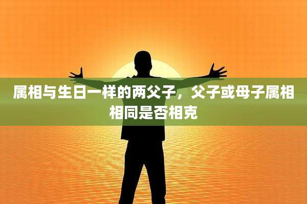 属相与生日一样的两父子，父子或母子属相相同是否相克