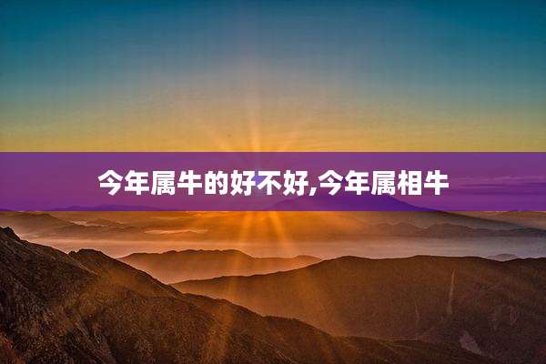 今年属牛的好不好,今年属相牛