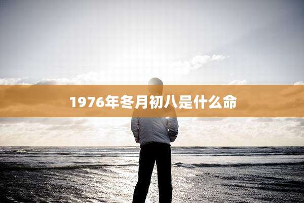 1976年冬月初八是什么命