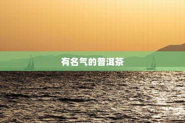 有名气的普洱茶