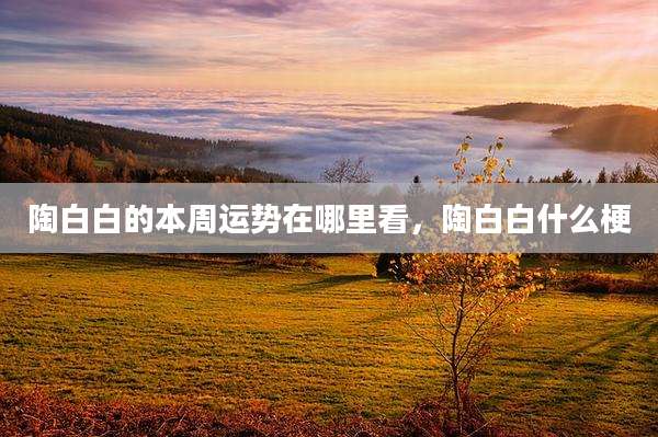 陶白白的本周运势在哪里看，陶白白什么梗