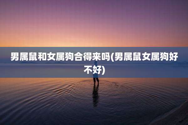 男属鼠和女属狗合得来吗(男属鼠女属狗好不好)