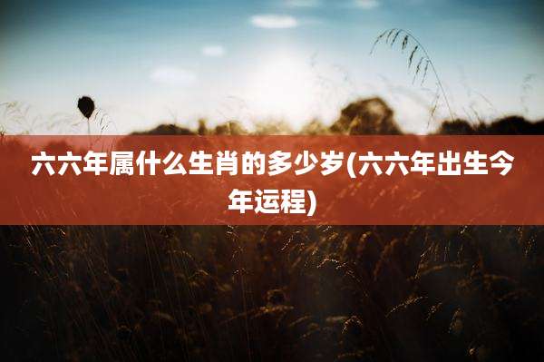 六六年属什么生肖的多少岁(六六年出生今年运程)