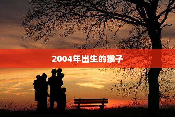 2004年出生的猴子