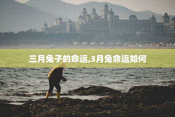 三月兔子的命运,3月兔命运如何