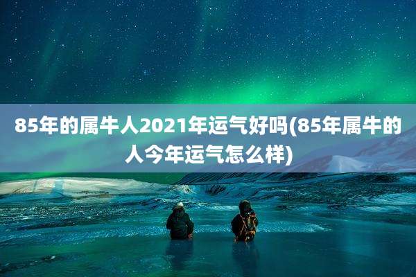 85年的属牛人2021年运气好吗(85年属牛的人今年运气怎么样)