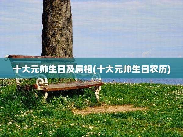 十大元帅生日及属相(十大元帅生日农历)