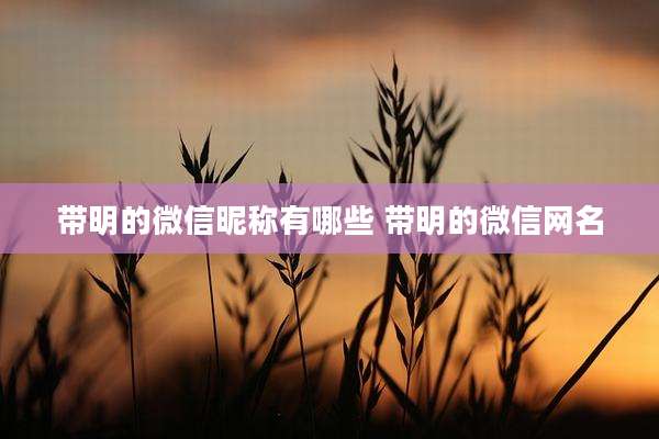 带明的微信昵称有哪些 带明的微信网名
