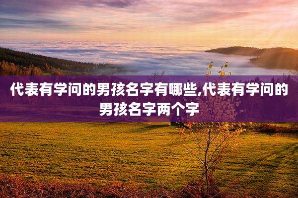 代表有学问的男孩名字有哪些,代表有学问的男孩名字两个字
