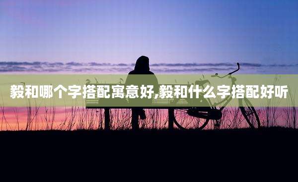 毅和哪个字搭配寓意好,毅和什么字搭配好听