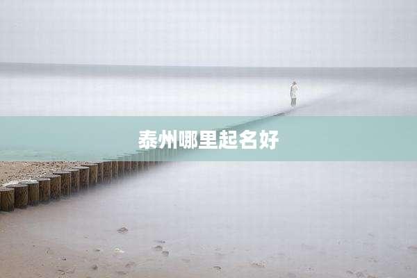 泰州哪里起名好