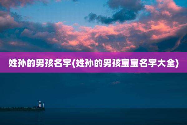 姓孙的男孩名字(姓孙的男孩宝宝名字大全)