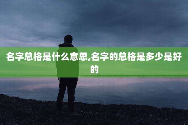 名字总格是什么意思,名字的总格是多少是好的