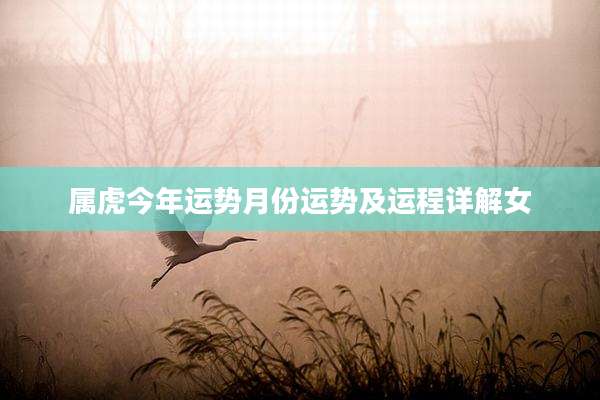 属虎今年运势月份运势及运程详解女