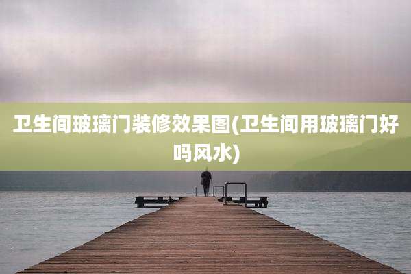 卫生间玻璃门装修效果图(卫生间用玻璃门好吗风水)
