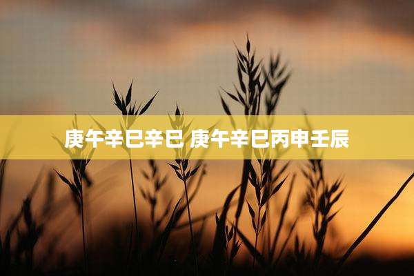 庚午辛巳辛巳 庚午辛巳丙申壬辰