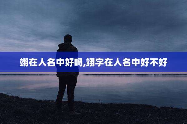 翊在人名中好吗,翊字在人名中好不好