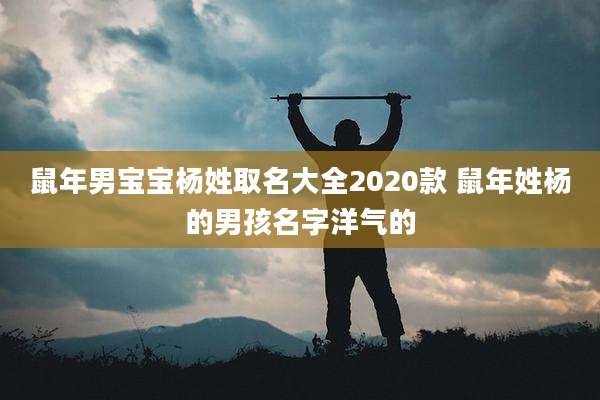 鼠年男宝宝杨姓取名大全2020款 鼠年姓杨的男孩名字洋气的