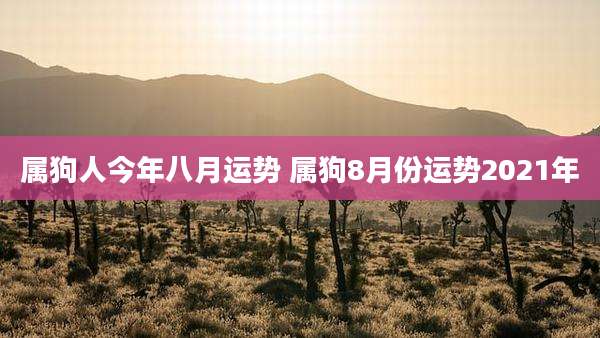 属狗人今年八月运势 属狗8月份运势2021年