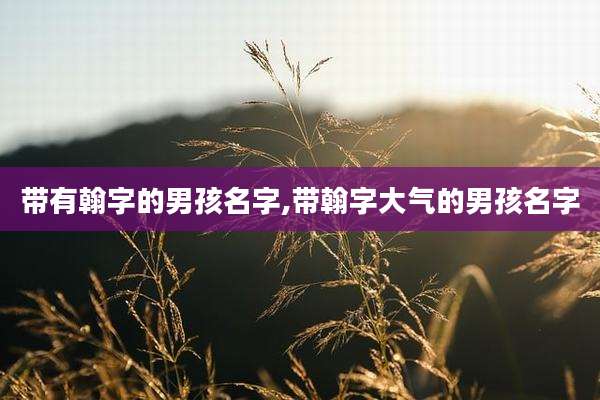 带有翰字的男孩名字,带翰字大气的男孩名字