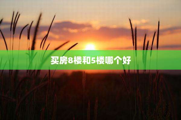 买房8楼和5楼哪个好