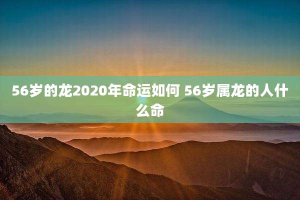 56岁的龙2020年命运如何 56岁属龙的人什么命