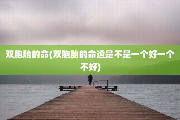 双胞胎的命(双胞胎的命运是不是一个好一个不好)