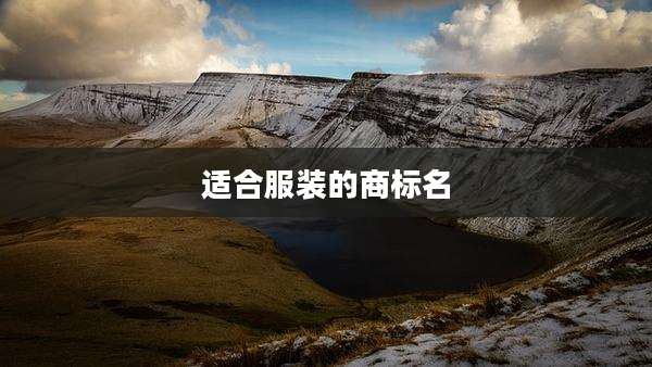 适合服装的商标名