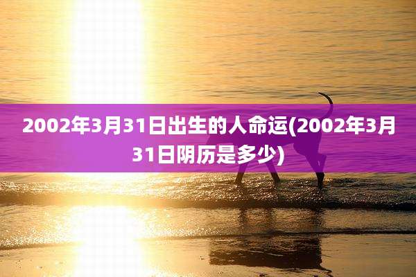 2002年3月31日出生的人命运(2002年3月31日阴历是多少)