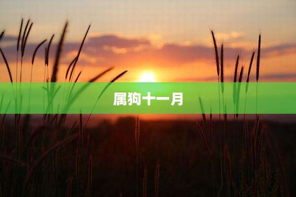 属狗十一月