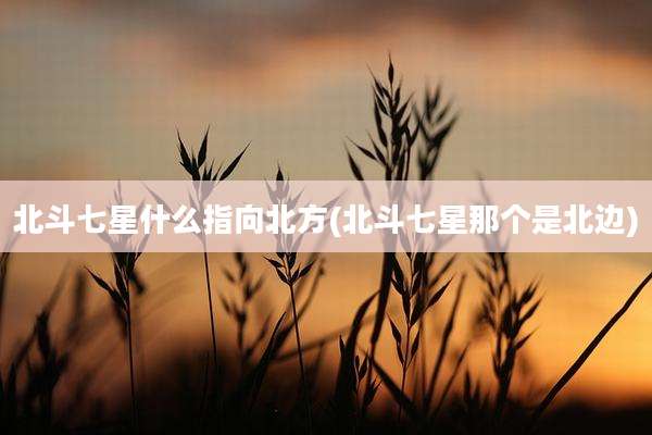 北斗七星什么指向北方(北斗七星那个是北边)