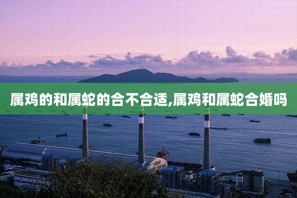 属鸡的和属蛇的合不合适,属鸡和属蛇合婚吗