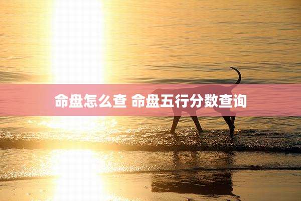 命盘怎么查 命盘五行分数查询