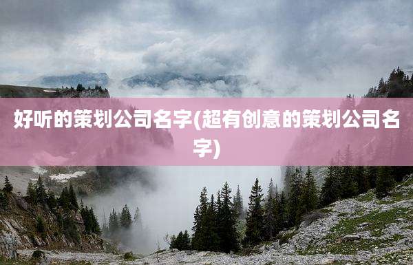 好听的策划公司名字(超有创意的策划公司名字)