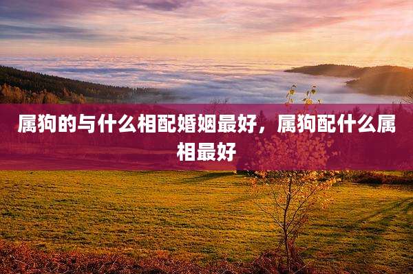 属狗的与什么相配婚姻最好,属狗配什么属相最好