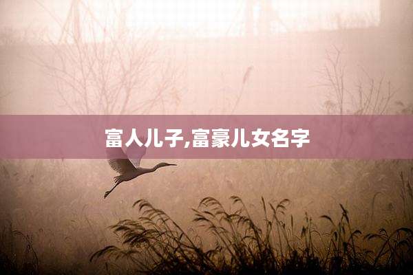 富人儿子,富豪儿女名字