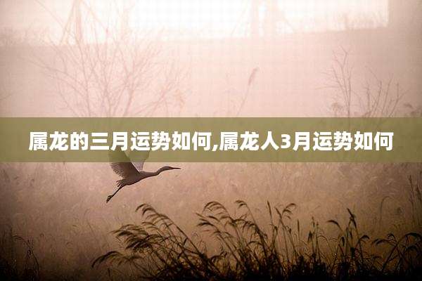 属龙的三月运势如何,属龙人3月运势如何