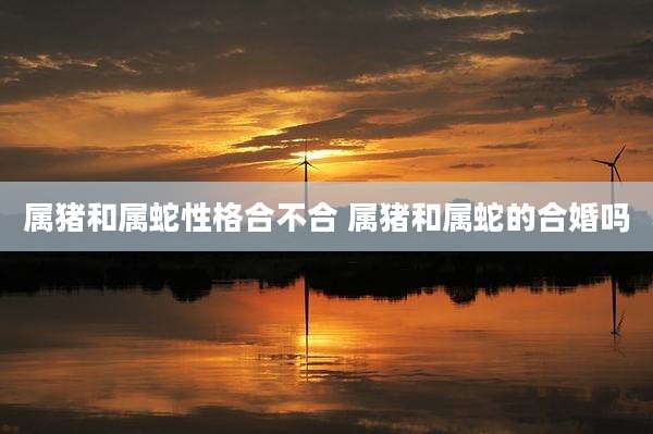 属猪和属蛇性格合不合 属猪和属蛇的合婚吗
