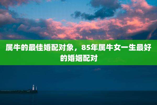 属牛的最佳婚配对象,85年属牛女一生最好的婚姻配对