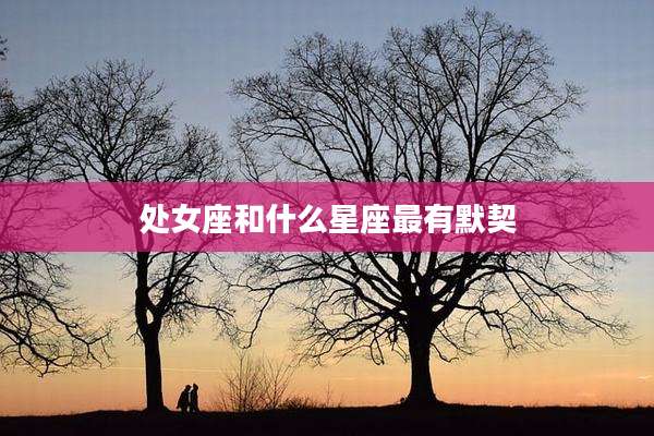 处女座和什么星座最有默契