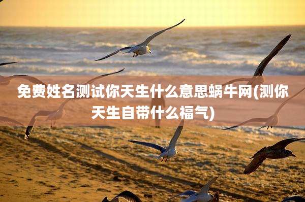 免费姓名测试你天生什么意思蜗牛网(测你天生自带什么福气)