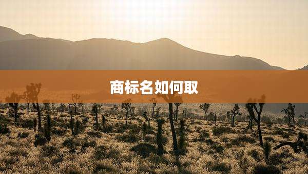 商标名如何取