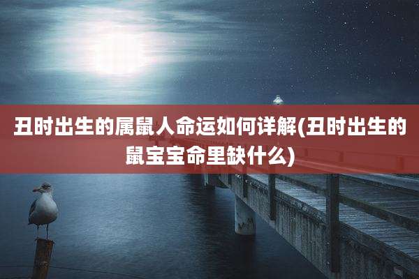 丑时出生的属鼠人命运如何详解(丑时出生的鼠宝宝命里缺什么)
