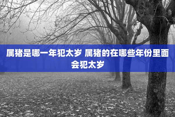属猪是哪一年犯太岁 属猪的在哪些年份里面会犯太岁