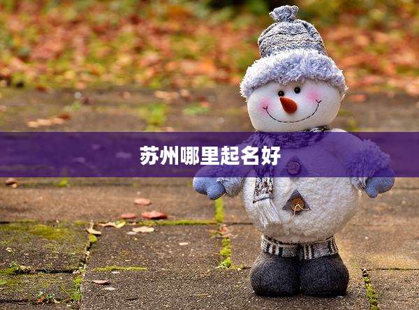 苏州哪里起名好