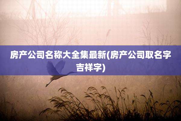 房产公司名称大全集最新(房产公司取名字吉祥字)